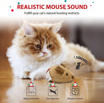 GiGwi PetDroid squeaky cat toy package displaying authentic USA imported branding.
