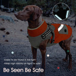 Side profile of large dog wearing orange IECOii fleece coat