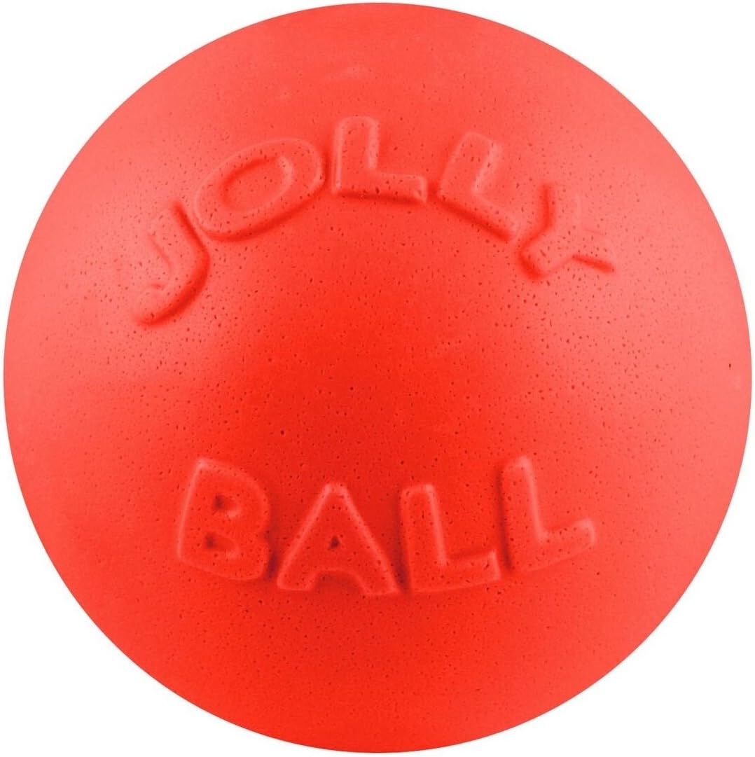 Blue Jolly Pets dog ball on grass for play