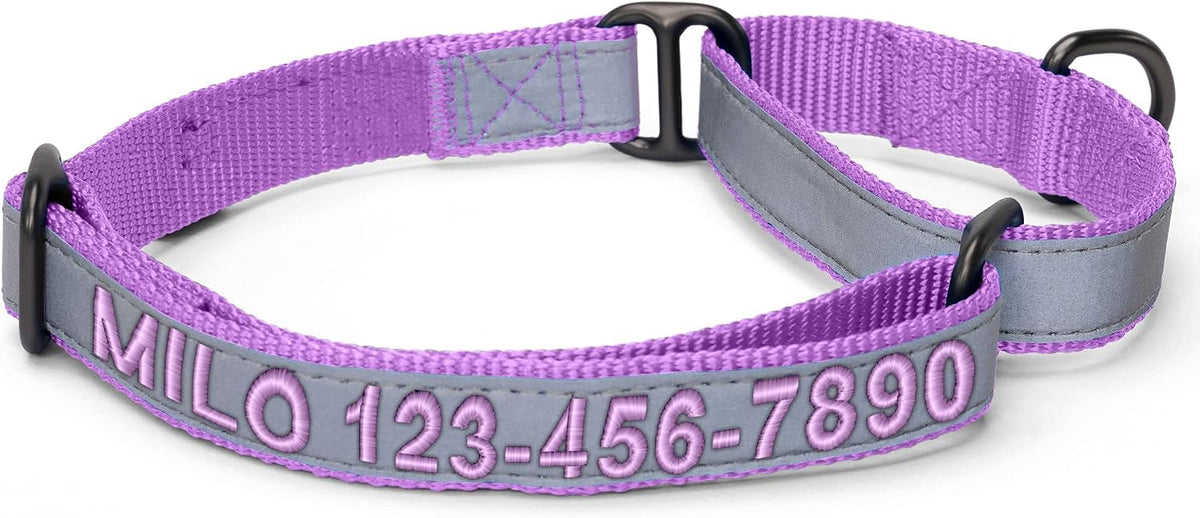 Pawtitas Personalized Dog Collar Martingale Dog Collar with Name Phone Number Reflective Martingale Dog Collar Customized Collar for Medium Dogs | Pink Custom Dog Collars for Medium Dogs - Image 12