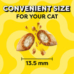 Temptations Cat Treat ShakeUps, Crunchy and Soft Cat Treats, Clucky Carnival, 5.29 oz. Pouch - Image 10