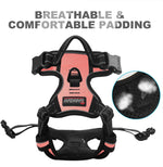 Close up of sturdy metal D ring attachment on chest clip harness
