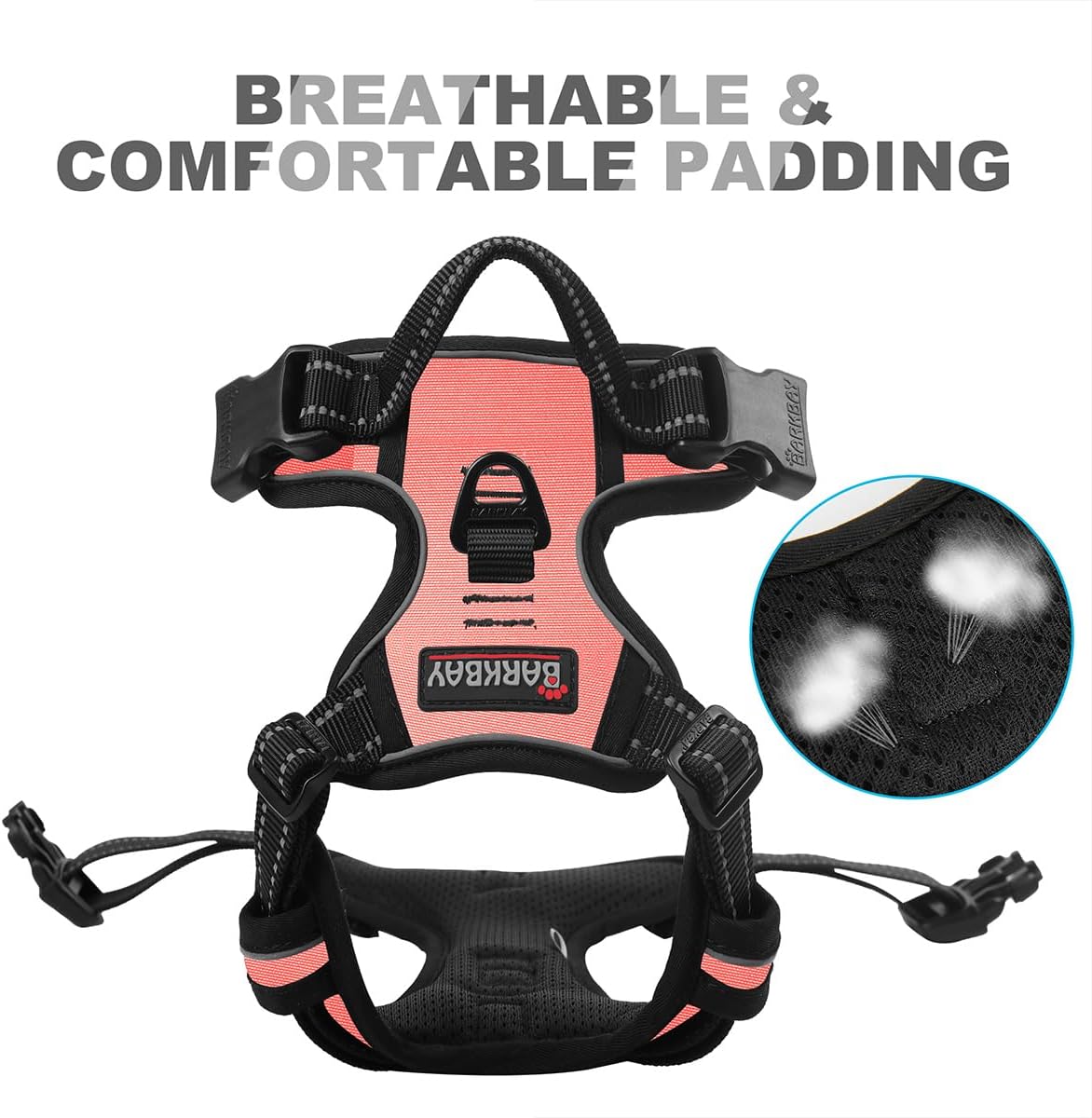 Close up of sturdy metal D ring attachment on chest clip harness
