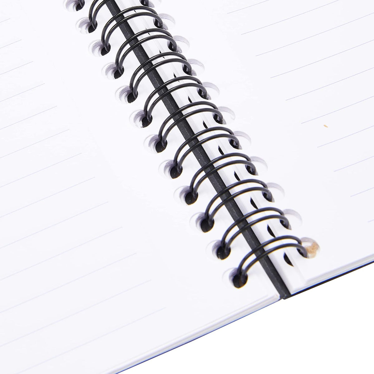 Rhodia ruled notebook interior page layout with margin