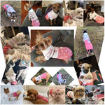 CHBORCHICEN authentic imported winter doggie clothes highlighting the sturdy knit collar.