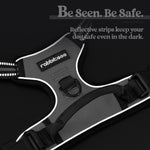 Rabbitgoo pet harness back leash clip close up