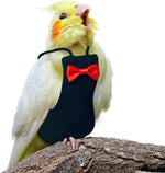 Large breed pet bird wearing camouflage protective nappy flight suit
