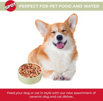 Spot light green pet food bowl interior view