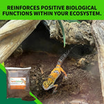 Eco friendly self sustaining terrarium soil for succulents and cleanup crews