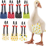 QBLEEV indoor chicken diaper sizing strap demonstration