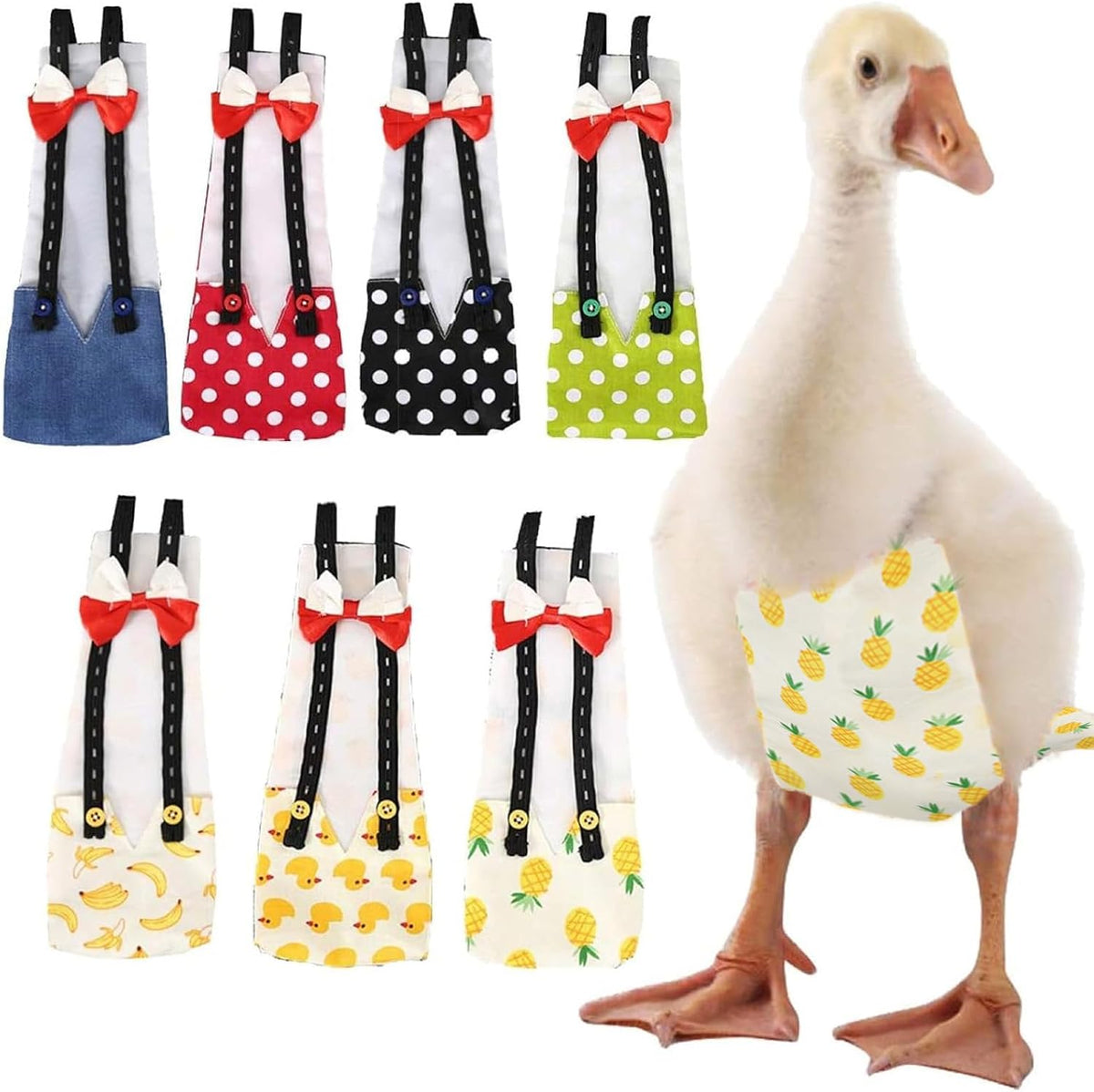 QBLEEV indoor chicken diaper sizing strap demonstration