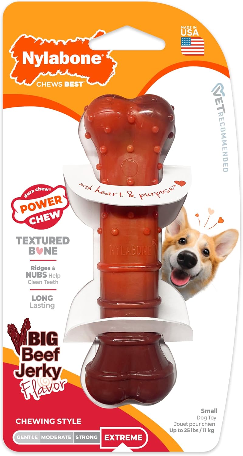 Nylabone small dog chew toy lifestyle preview