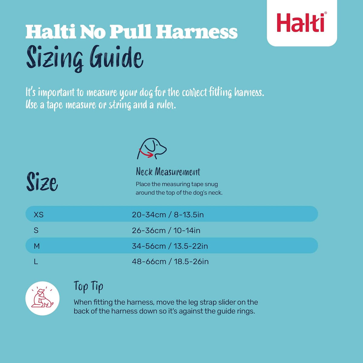Reflective material details on Halti harness and leash set
