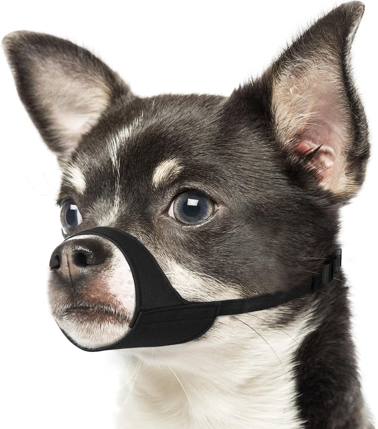 Mayerzon Short Snout Dog Muzzle XXS black front view