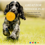 Comparison of Ousiya squeaky ball size for large dogs