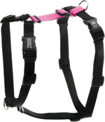 Purple Blue-9 harness flat lay on white background