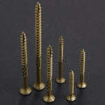 Wensilon fastener set with included star bit