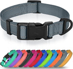 Joytale pet accessory packaging imported USA