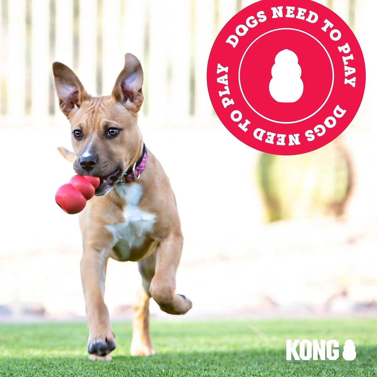 KONG Flyer - Durable Dog Toy for Outdoor Playtime - Natural Rubber Flying Disc, Dog Toy for Fetch - Safer Disc for Healthy Activity - for Medium/Large Dogs - Image 9