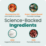 Imported USA joint supplement for senior dogs containing green lipped mussel