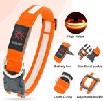 Vizpet light up dog collar displayed with metal D-ring