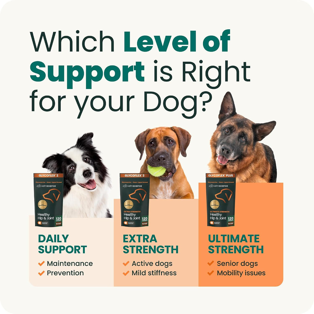 VetriScience Extra Strength 120 count chicken liver flavored dog joint soft chews