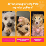 Close up of the back label detailing directions for dog eye health chews
