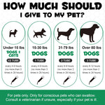 Close up of oral dosing applicator for pets