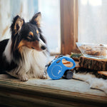 Flexi classic cord leash in blue box packaging