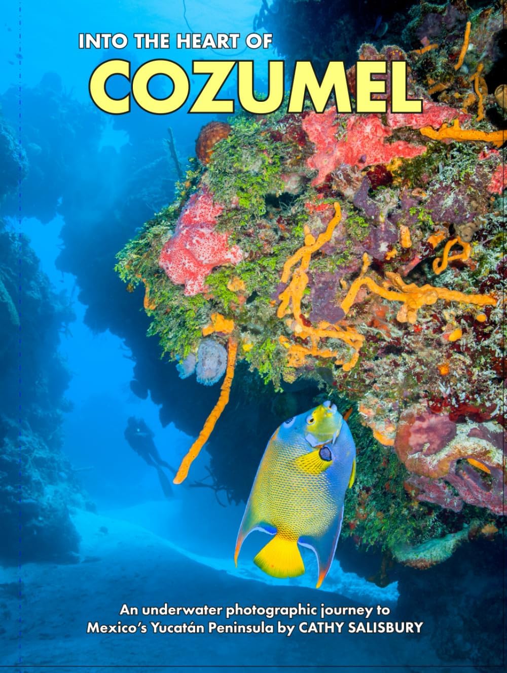 Into the heart of COZUMEL: An underwater photographic journey to Mexico's YucatÃ¡n Peninsula - Image 1