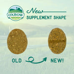 Oxbow veterinary formulated joint support small pet supplement