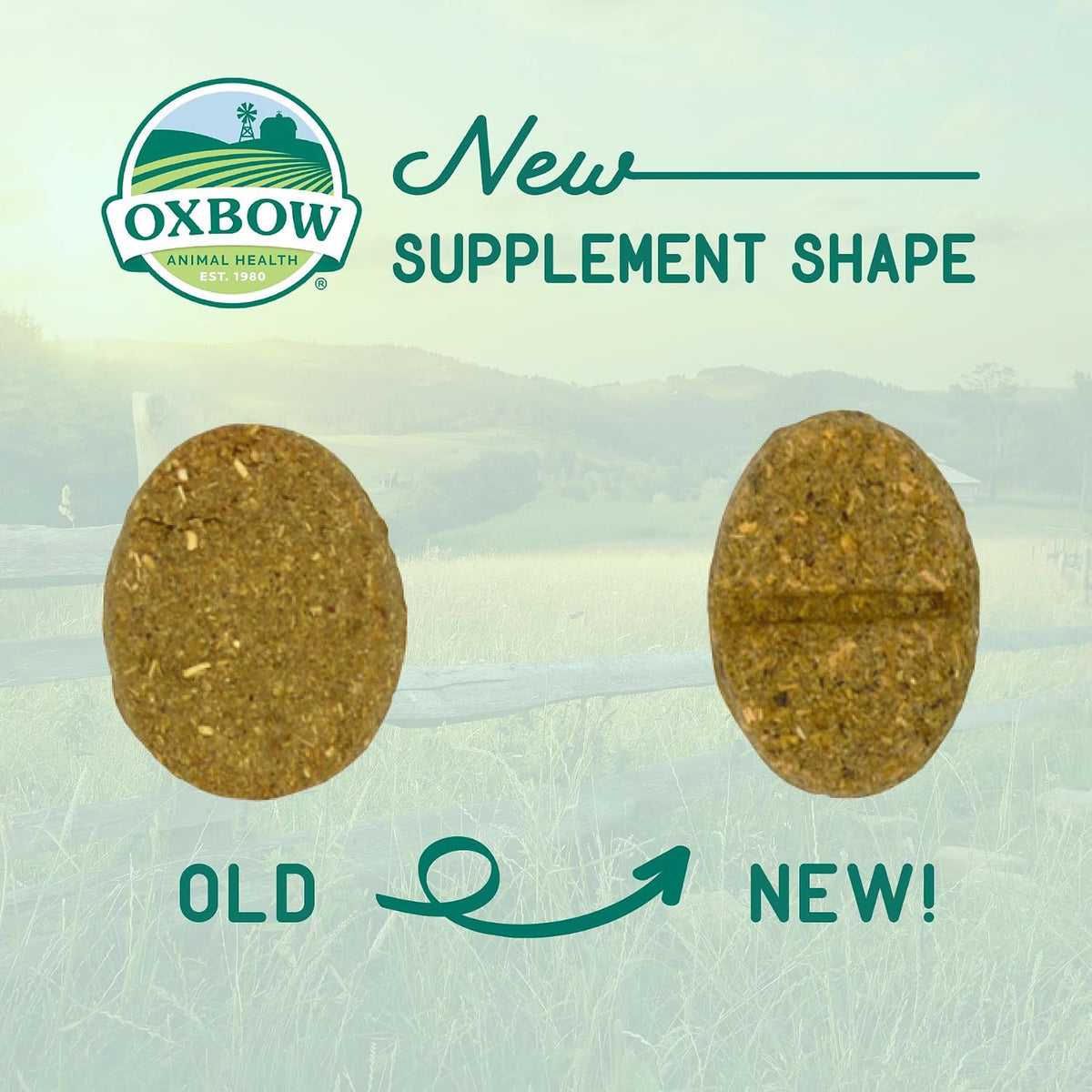 Oxbow veterinary formulated joint support small pet supplement