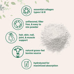 Micro Ingredients grass fed collagen powder texture close up