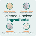 VetriScience pet supplements for Dachshunds Corgis and French Bulldogs