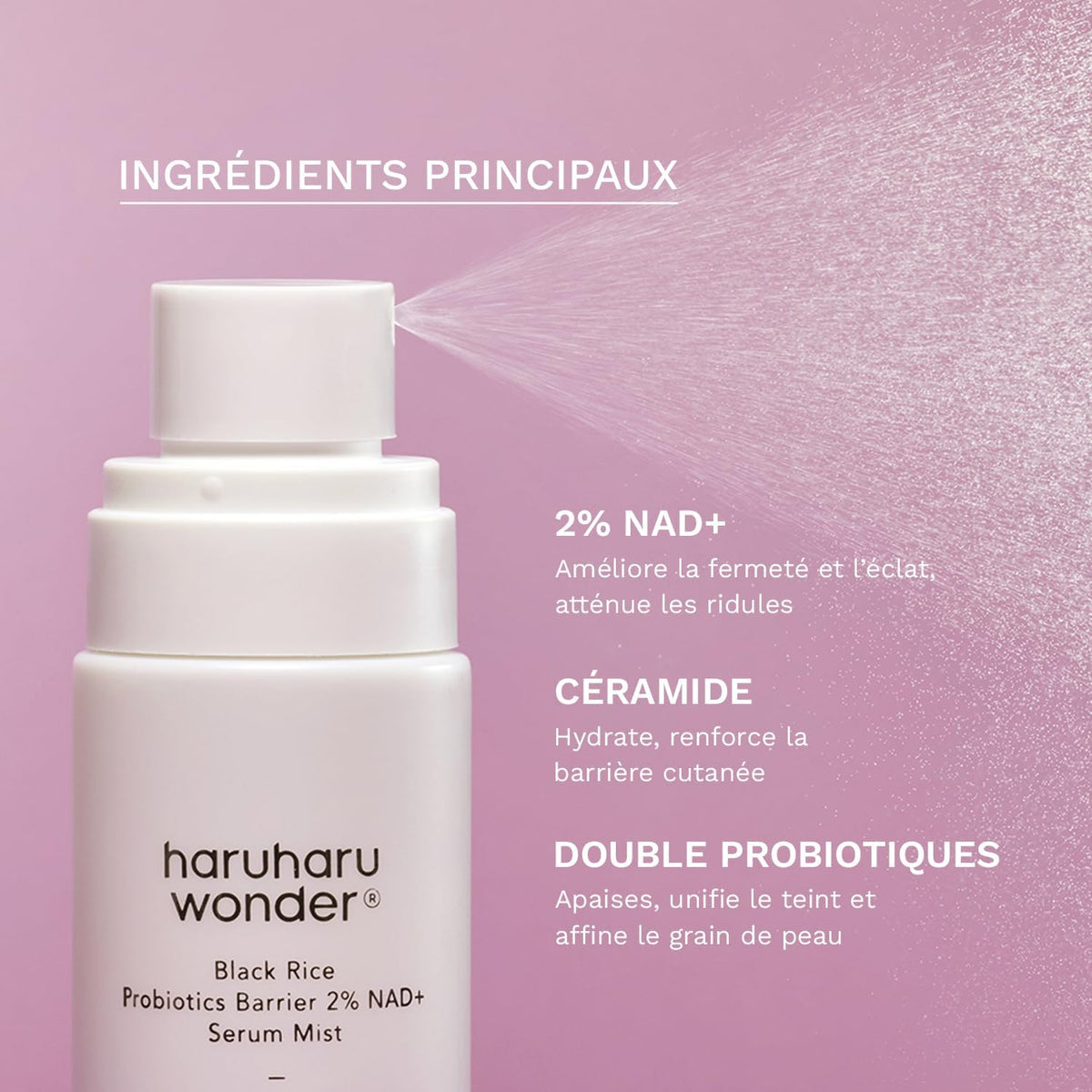Haruharu Wonder Rose PDRN Peptide Lip Balm compact tube for travel skincare