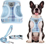 PUPTECK adjustable dog harness front view showing blue mesh vest