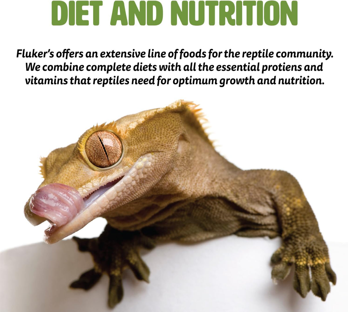Fluker's aquatic turtle formula jar showing calcium and vitamin enriched benefits for shell health.