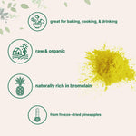 Micro Ingredients Organic Pineapple Powder texture and scoop illustration