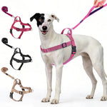 Large size Annchwool black dog harness flat lay