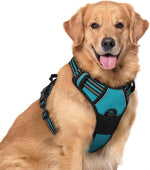 Rabbitgoo dog harness front view showing teal color and chest clip
