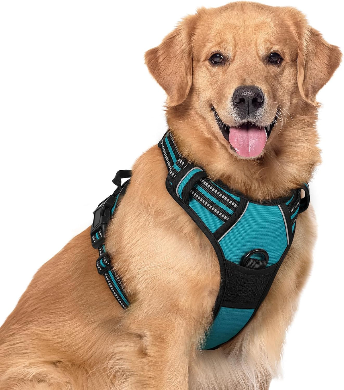 Rabbitgoo dog harness front view showing teal color and chest clip