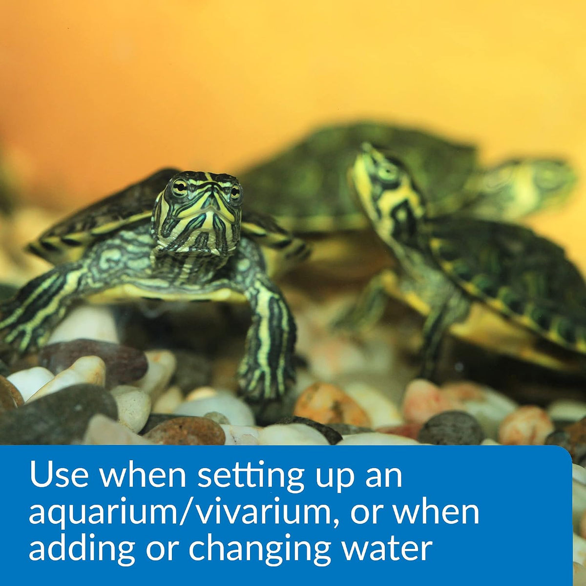 API Turtle Water Conditioner bottle showing dosage and instructions label