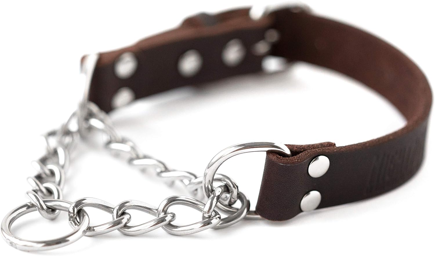 Mighty Paw martingale dog collar front view no pull training gear