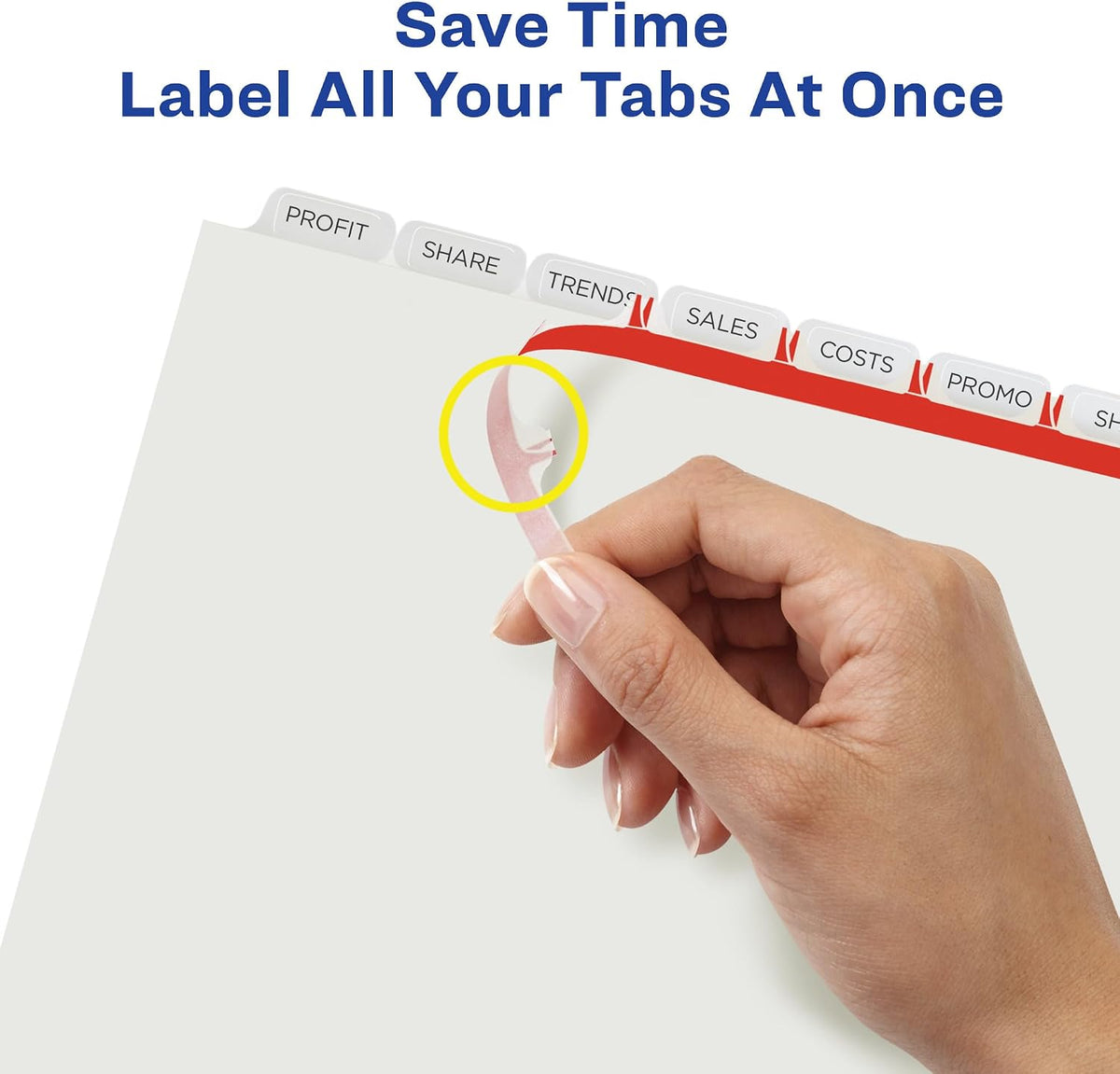Three hole punched plastic binder dividers close up