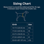 Ruffwear dog travel harness showing strength-rated metal buckle