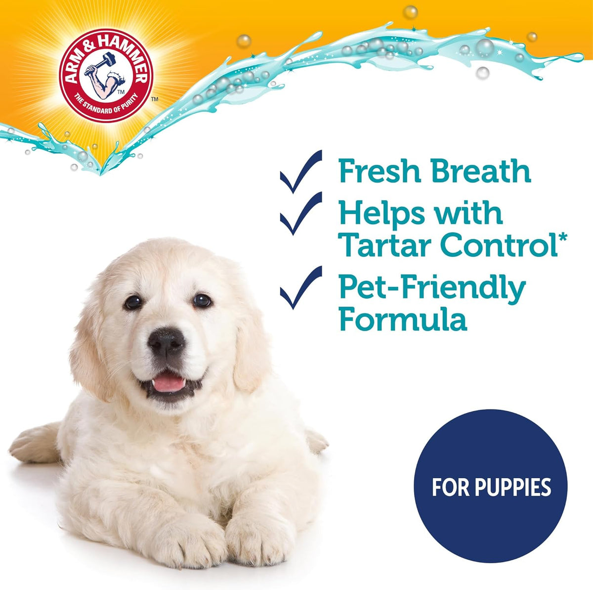 Close up of Arm and Hammer puppy dental kit contents