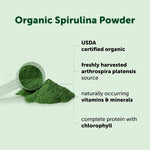 Organic blue green algae powder texture close up