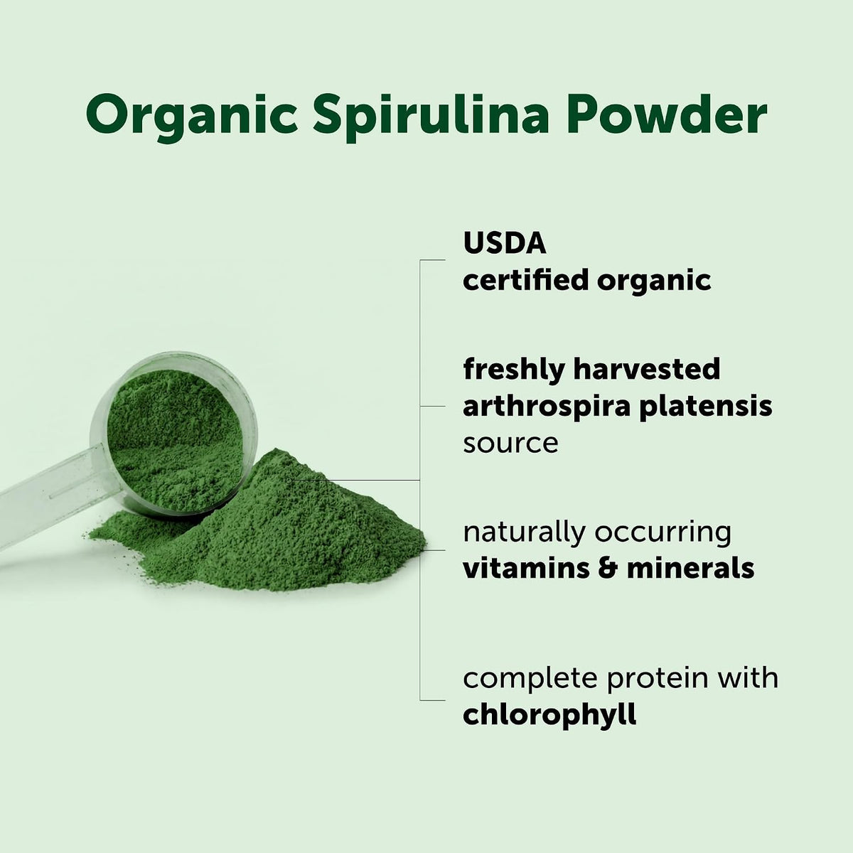 Organic blue green algae powder texture close up