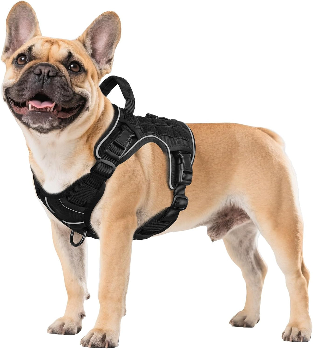 WINGOIN Black Tactical Dog Harness front view