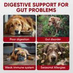 Pawzitive Pets pre and probiotics for dogs soft chews side view showing ingredients